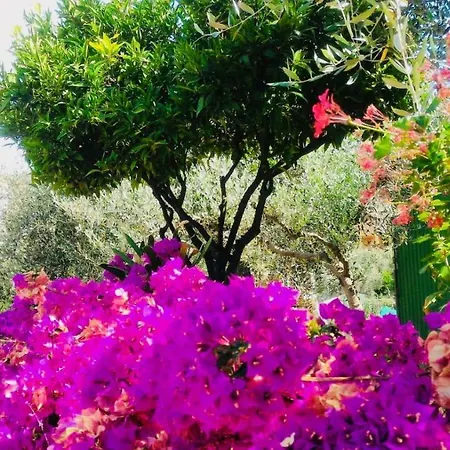 בית נופש Anna Regione Bussi 57